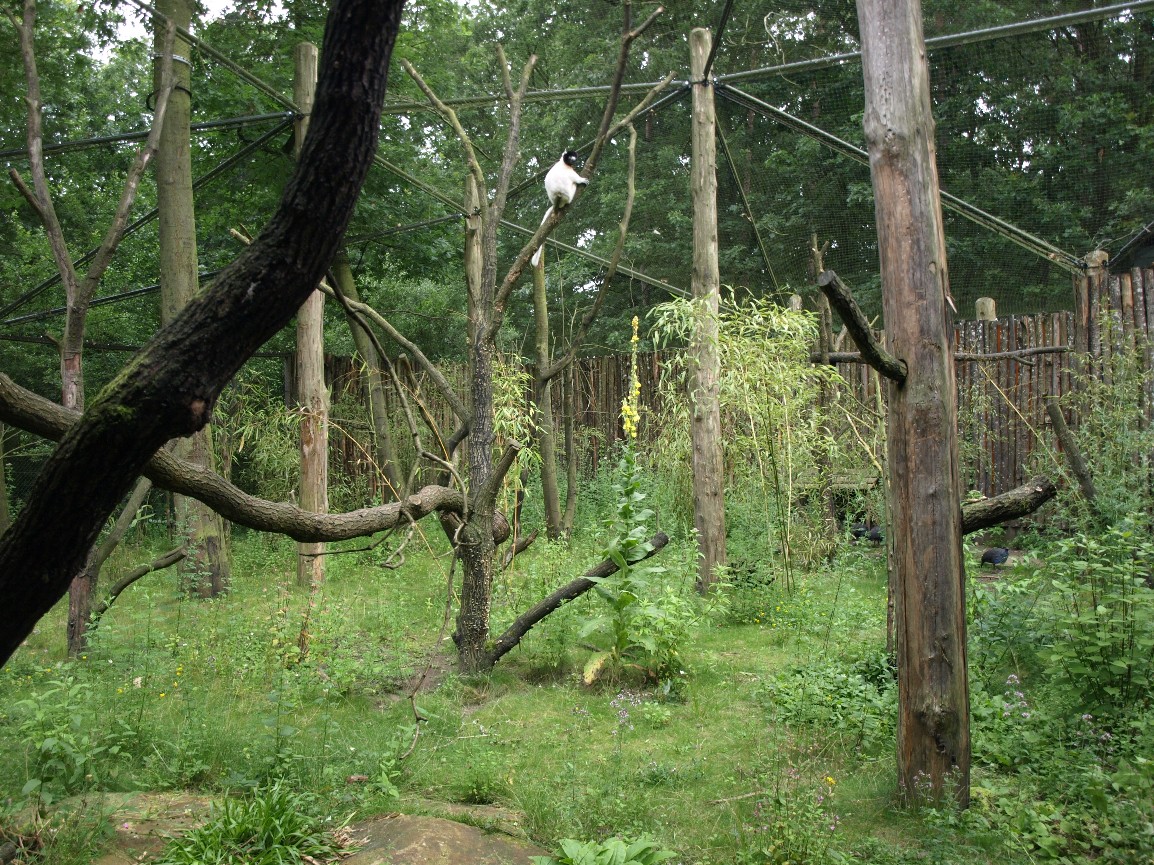 Apenheul - Madagaskar exhibit