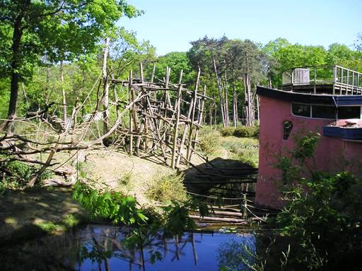 Apenheul / Monkeypark Apeldoorn (NL) Bonobo