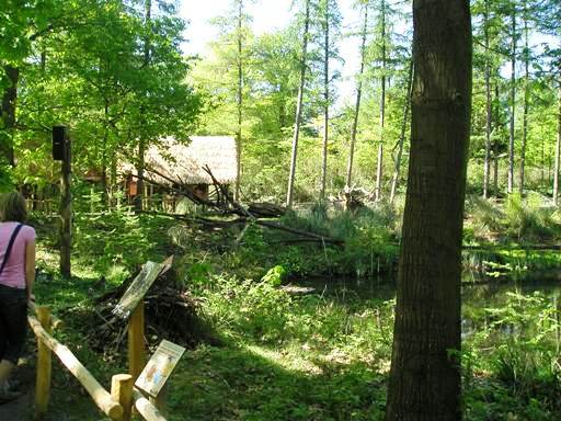 Apenheul / Monkeypark Apeldoorn (NL) Lemurs