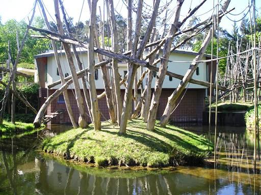 Apenheul / Monkeypark Apeldoorn (NL) Orangutan