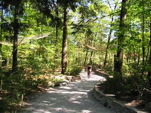 Apenheul / Monkeypark Apeldoorn (NL) Squirrelmonkeys