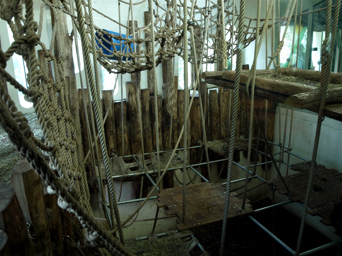 Apenheul - Orangutan indoor exhibit