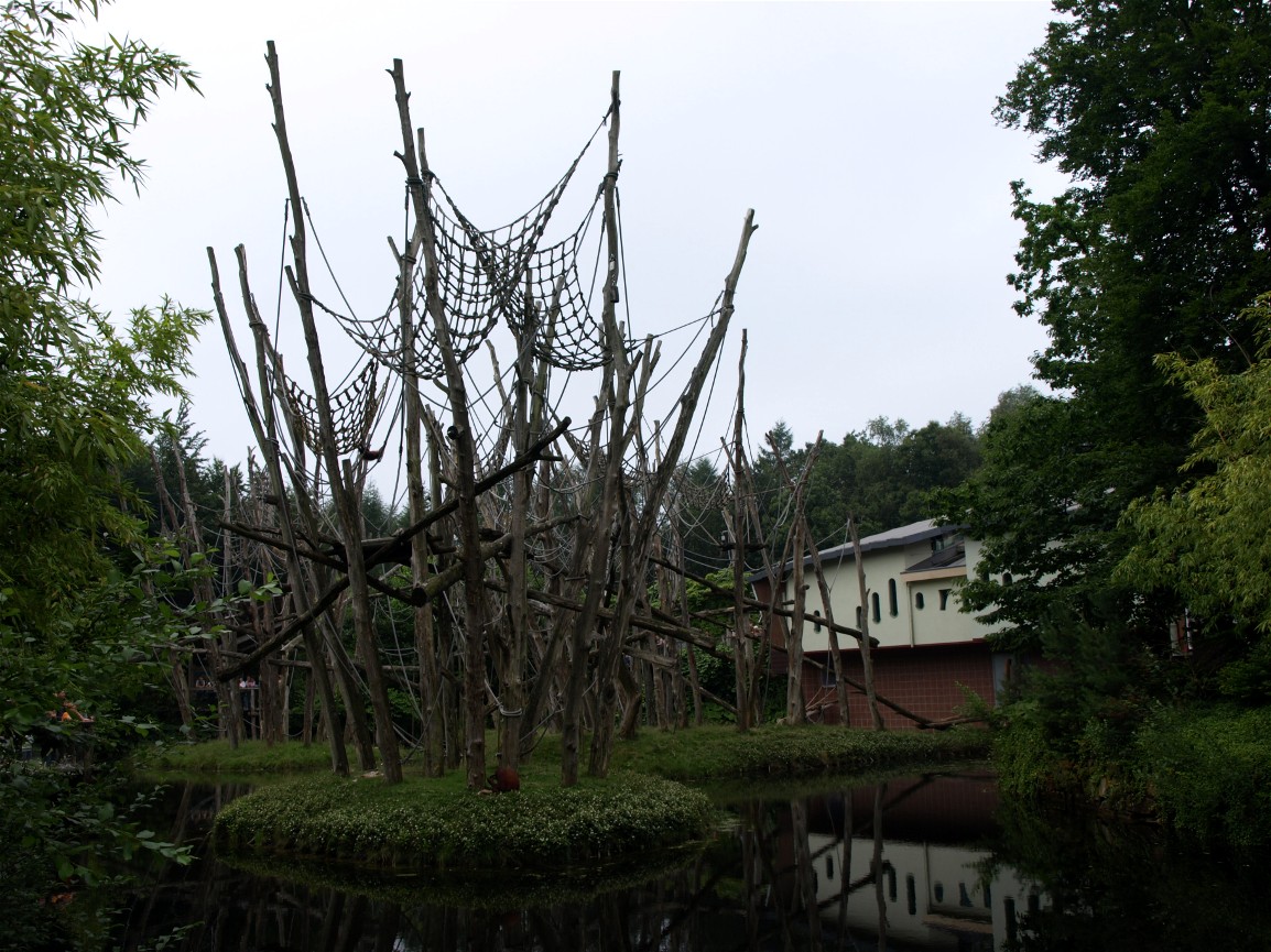 Apenheul - Orangutan islands
