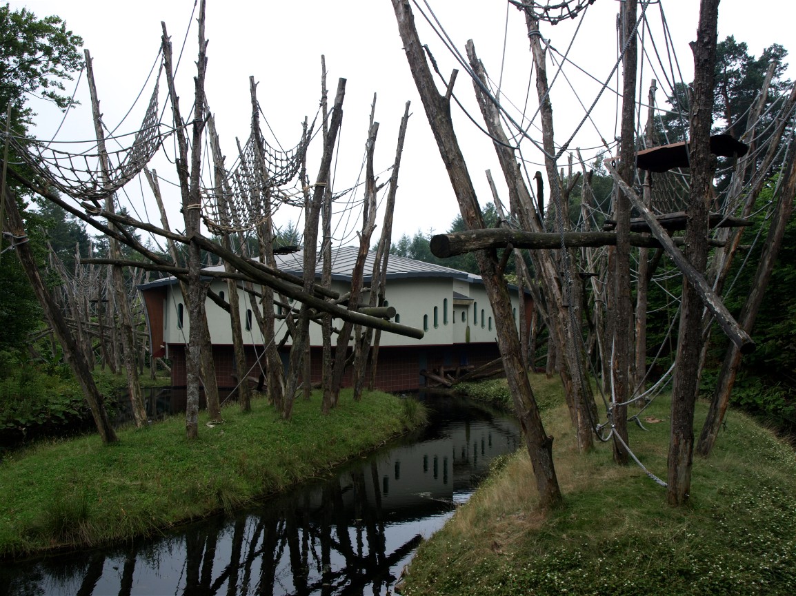 Apenheul - Orangutan islands