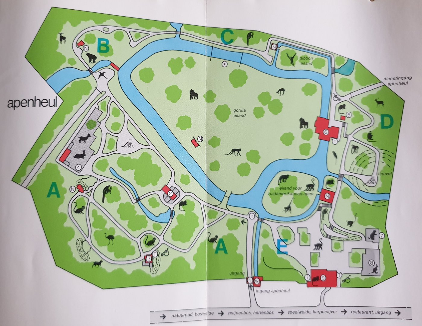 Apenheul Plan beginning of the 1980s