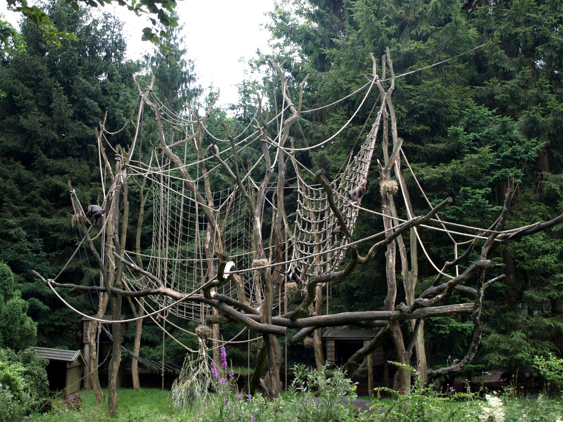 Apenheul - Wooly monkey island