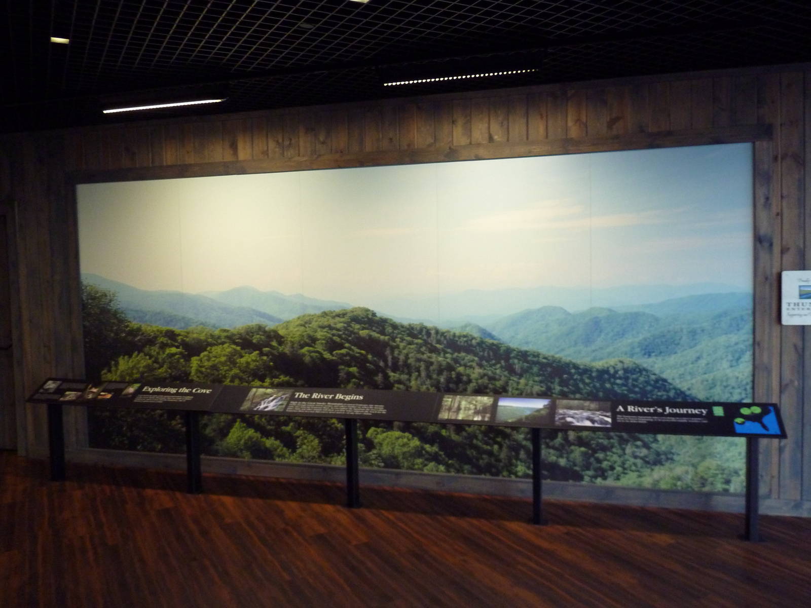 Appalachian Cove Forest - Entrance Photo