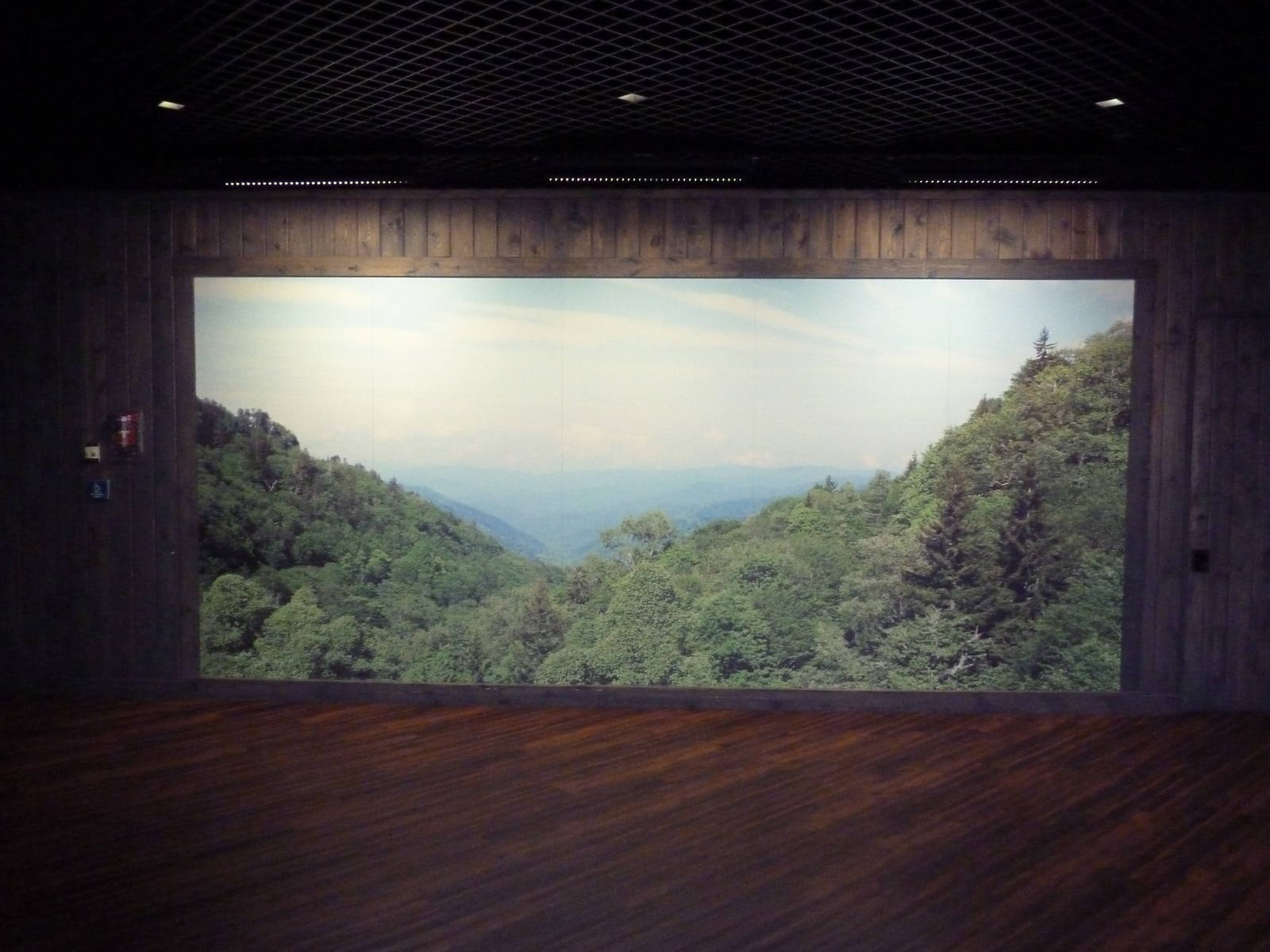 Appalachian Cove Forest - Entrance Photo