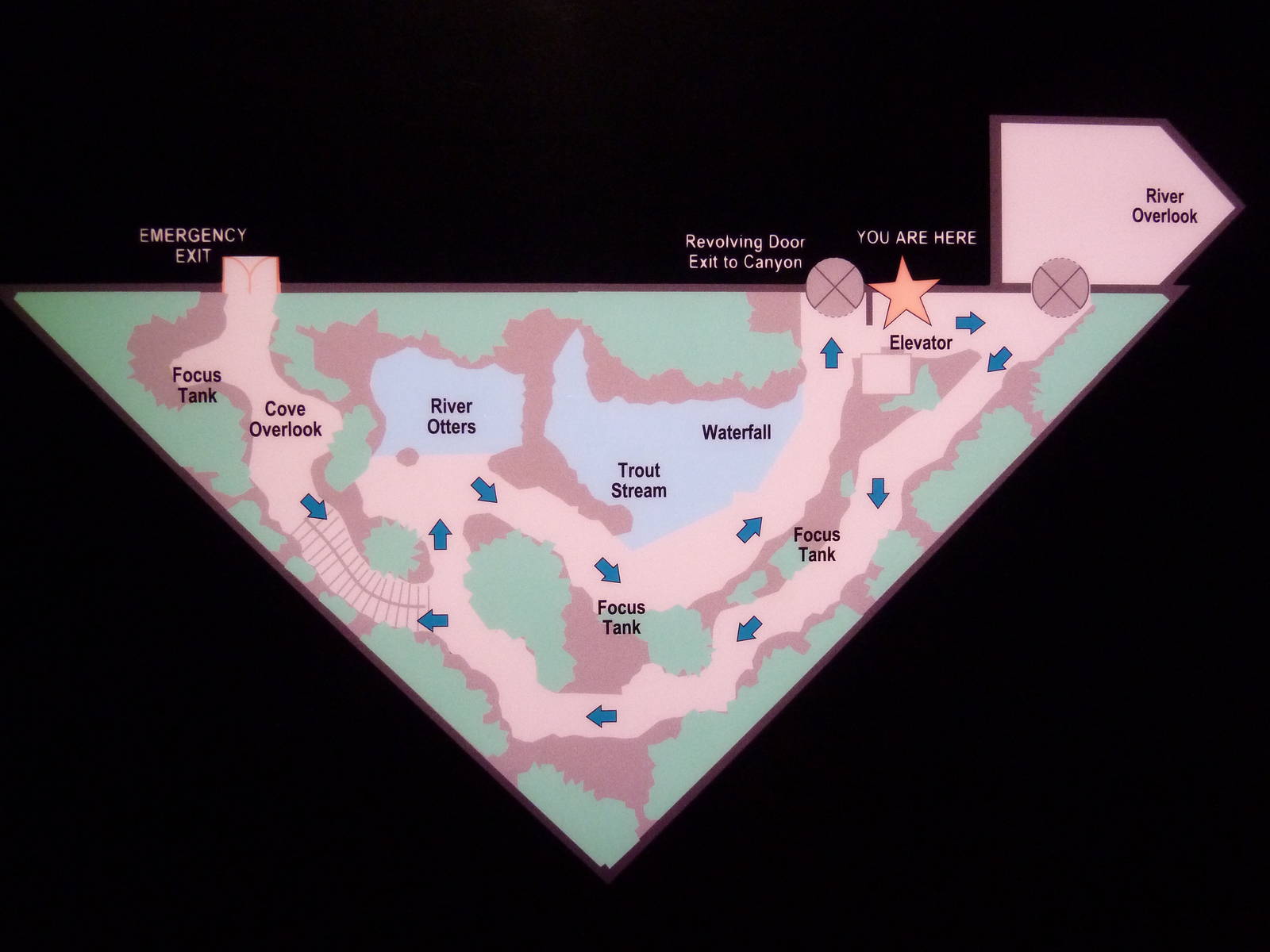 Appalachian Cove Forest - Map