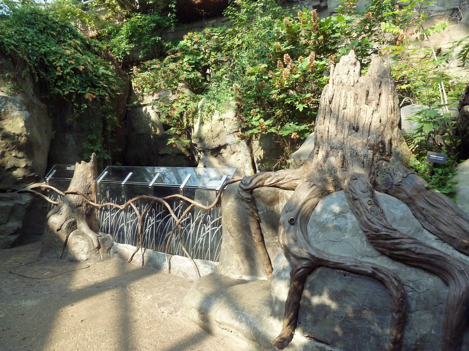 Appalachian Cove Forest - River Otter Exhibit