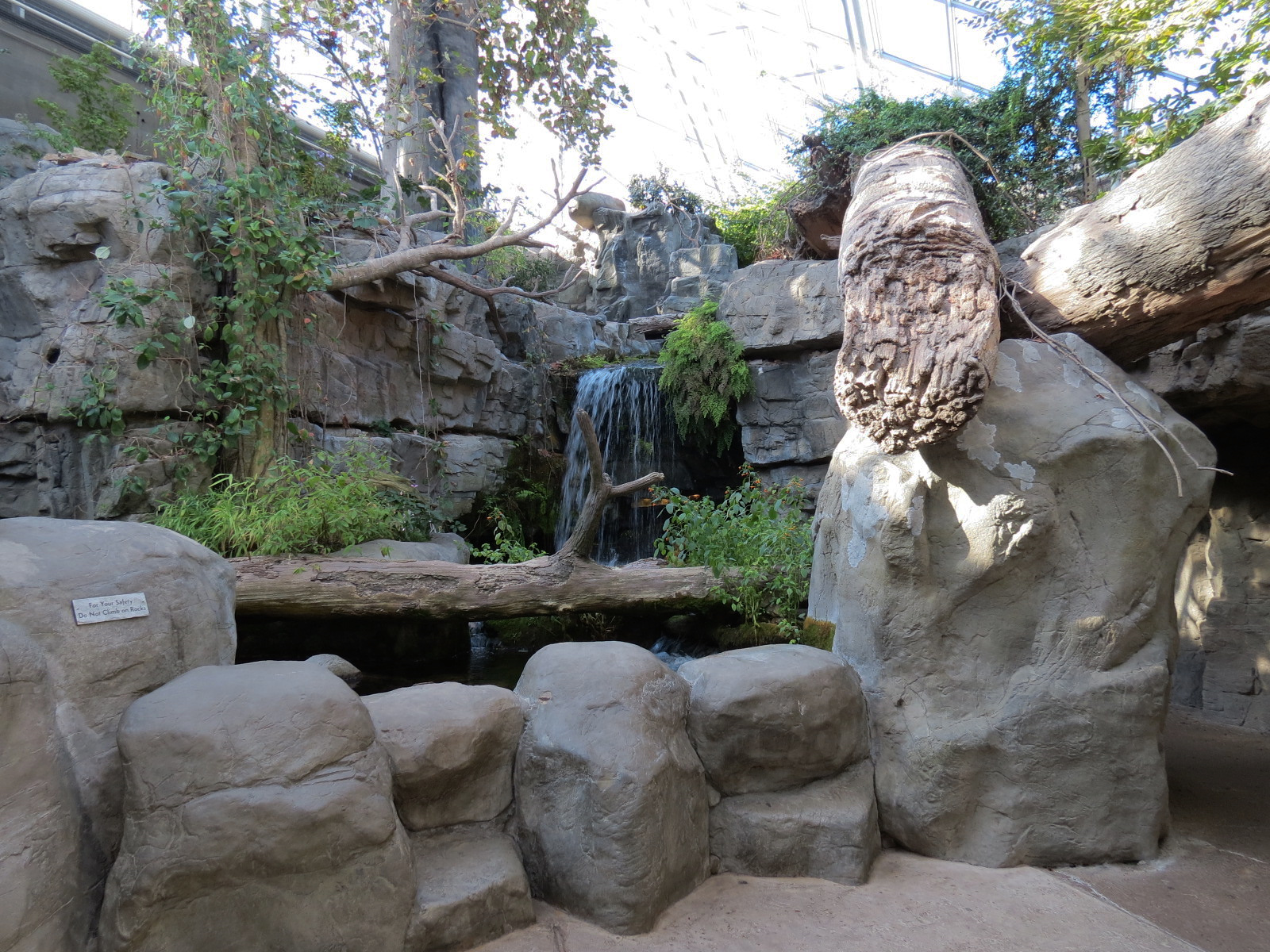 Appalachian Cove Forest - Trout Exhibit