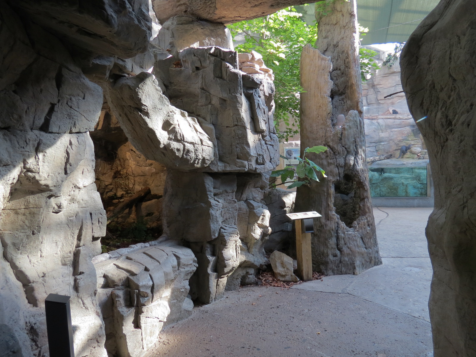 Appalachian Cove Forest - Walkway