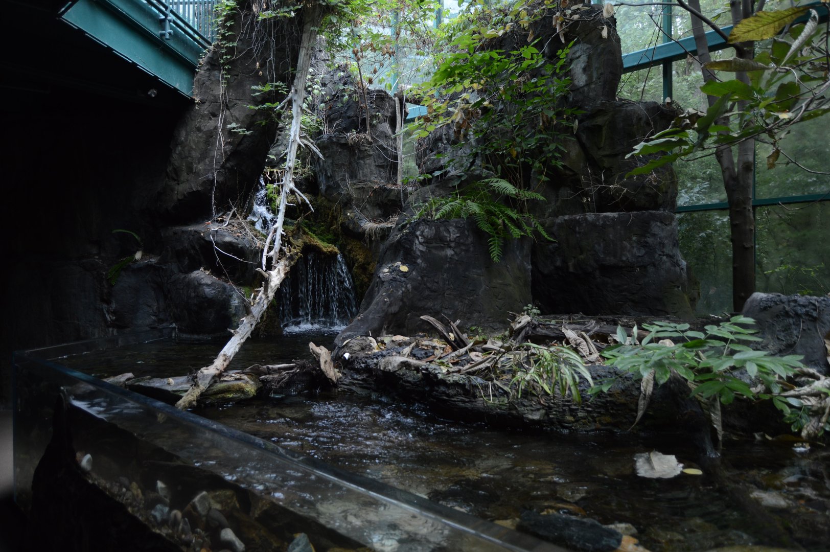 Appalachian Mountain Cove - Scenery and Landscaping