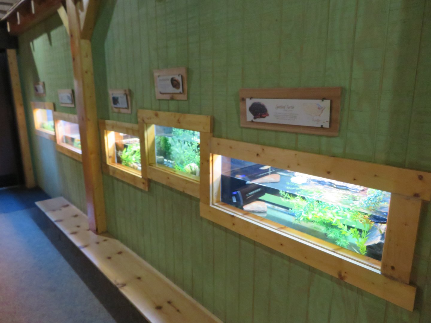 Appalachian Station: Various Herp Exhibits