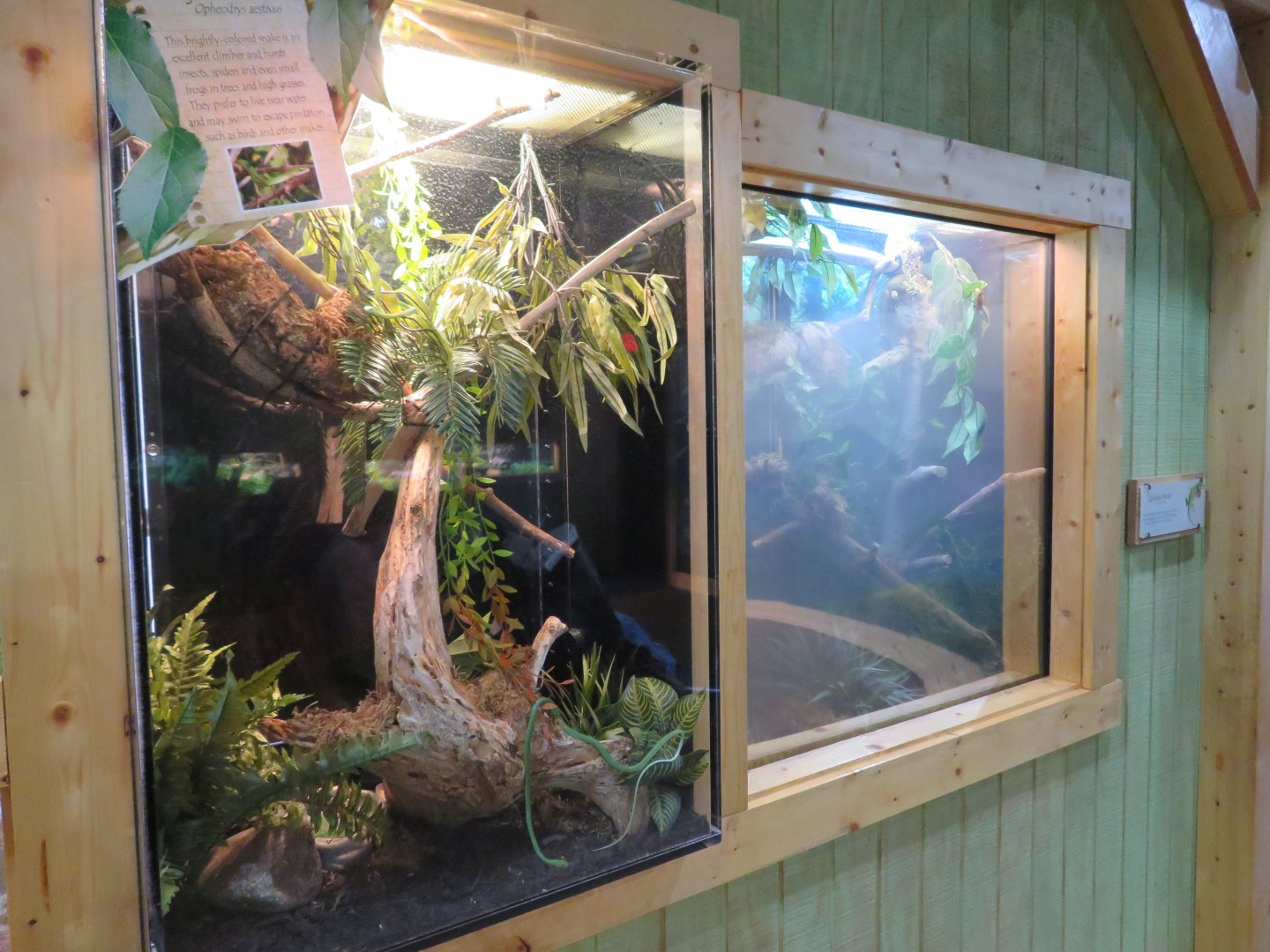 Appalachian Station: Various Herp Exhibits