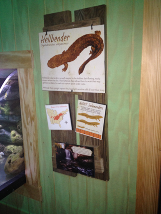 Appalachian Stream graphics