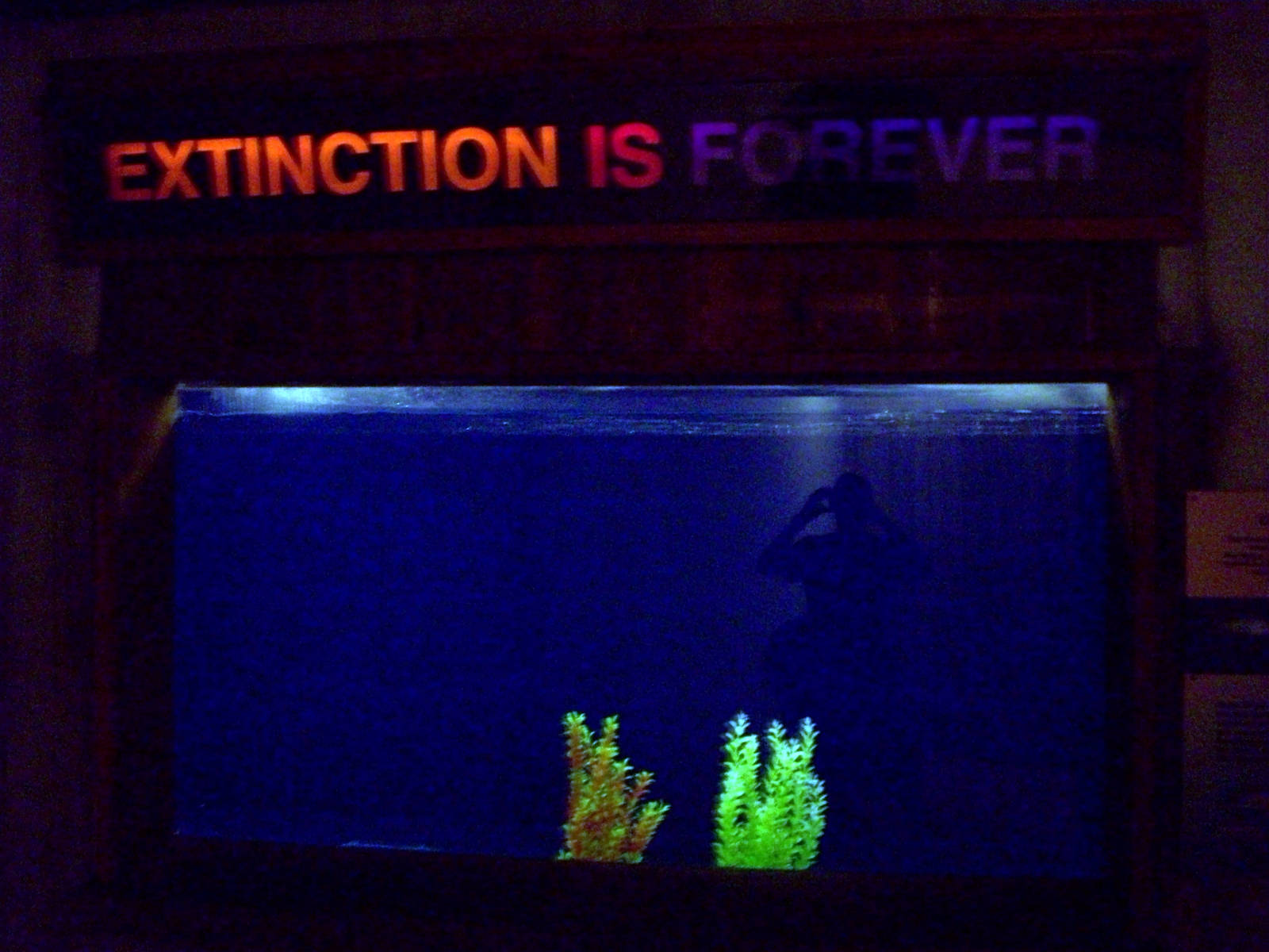 Apparently it happened already in this tank.