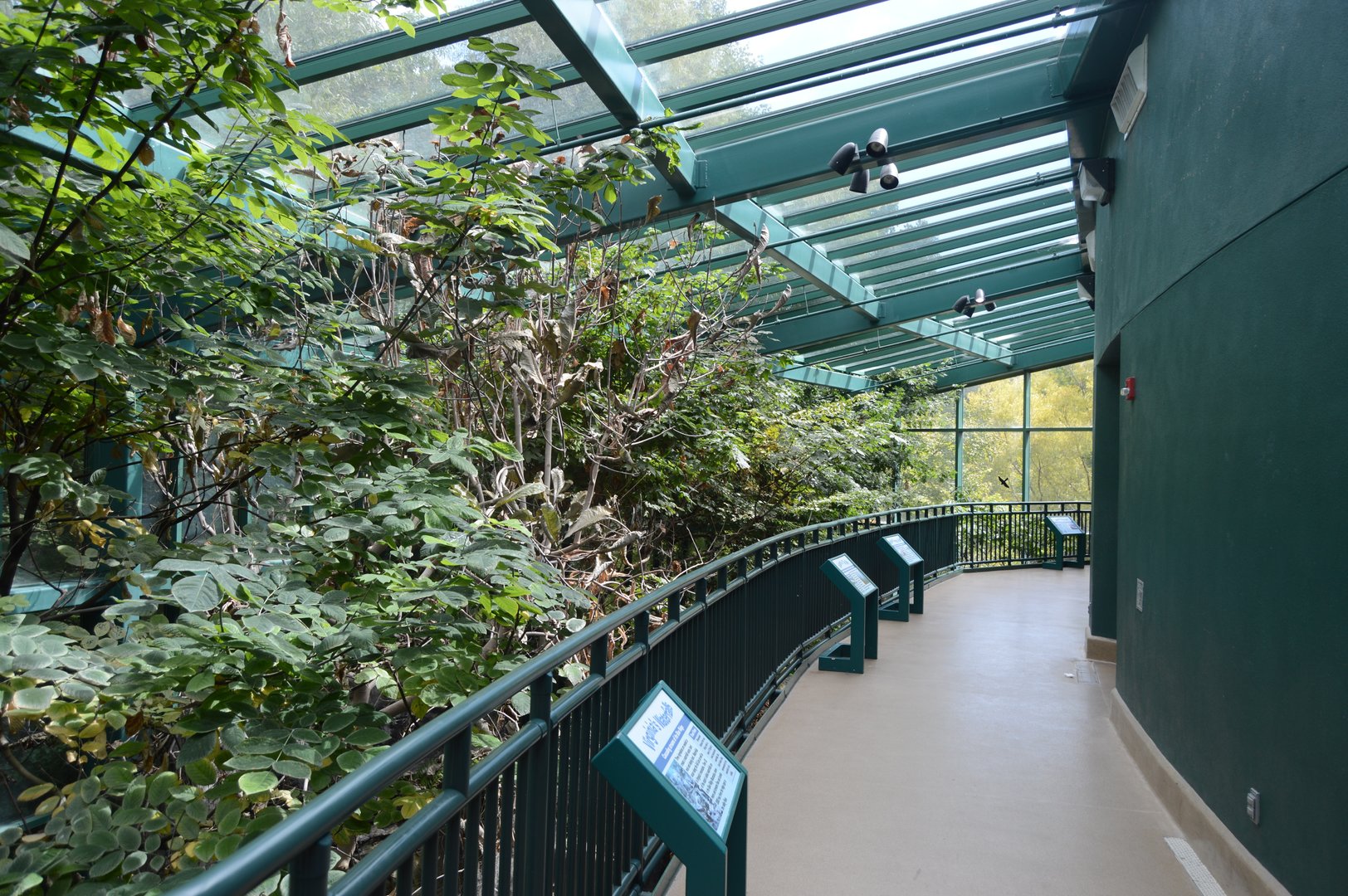 Applachian Mountain Cove - Upper Level Overview