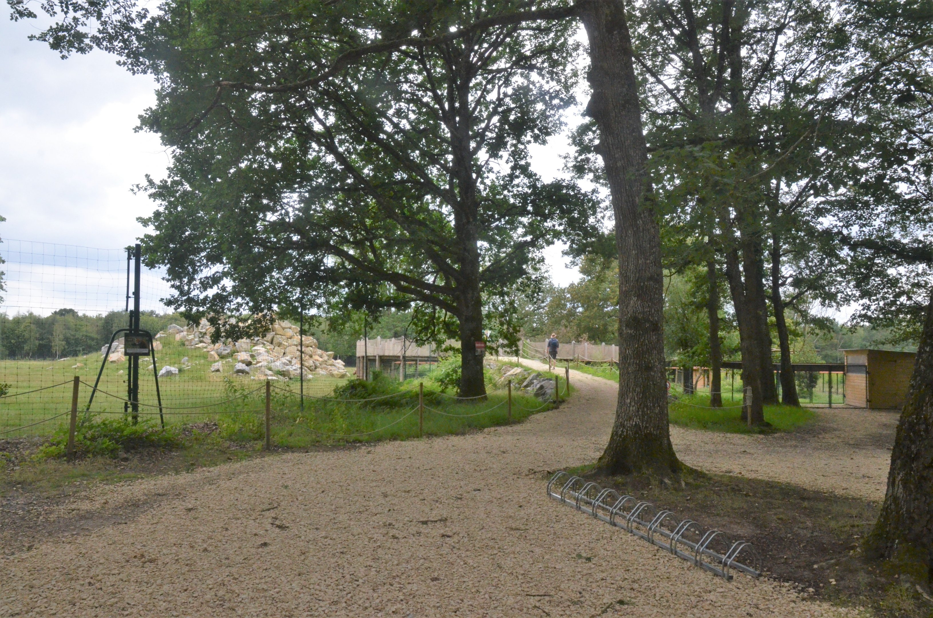 Approach to Himalayan Area at Haute-Touche, 14/06/18