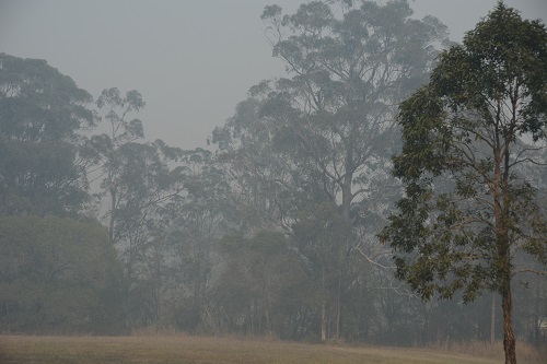 Approaching bushfire smoke.