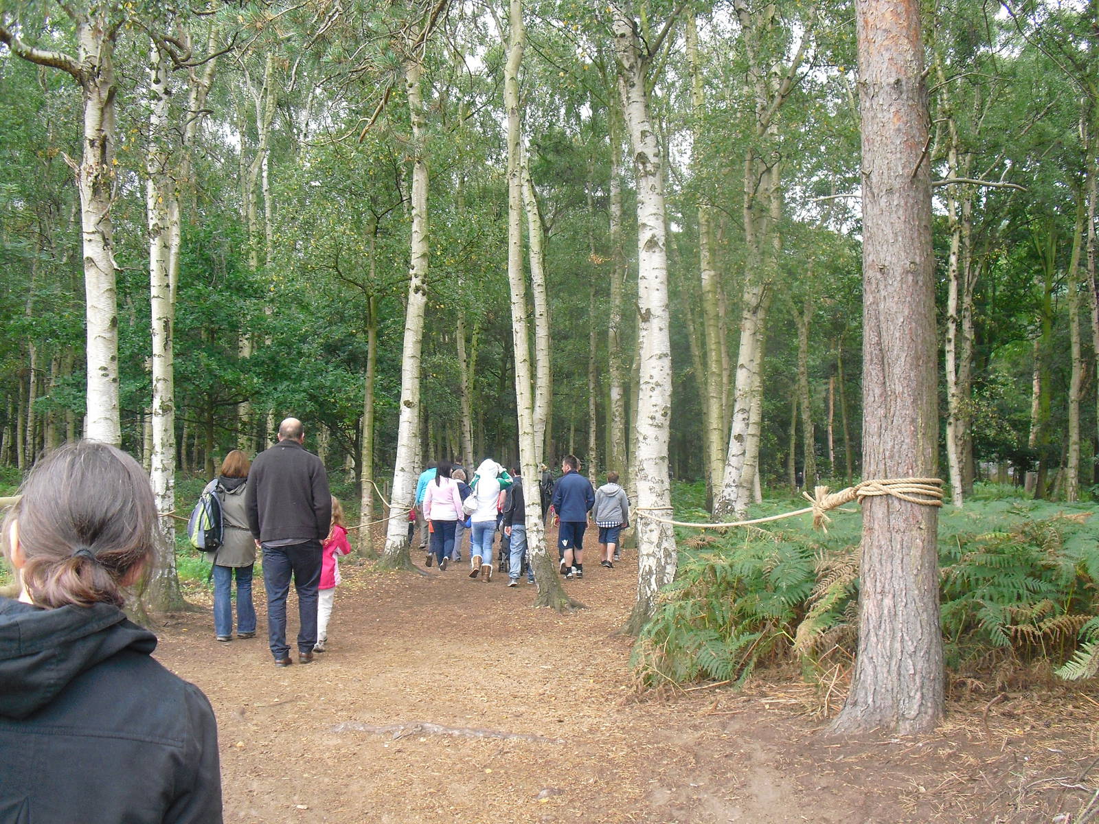Approaching Lemur Woods - 06/09/2011