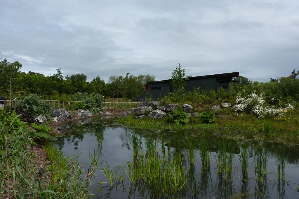 Approaching the Gorilla house, June 2012