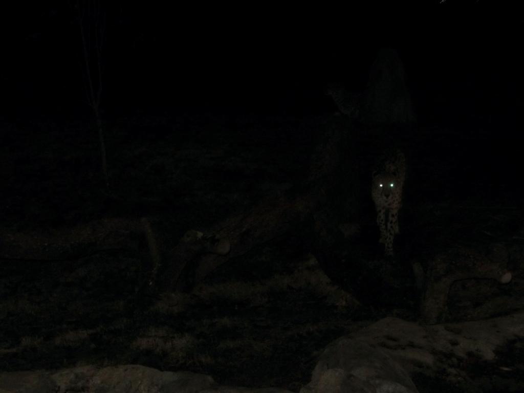 Approaching Through the Darkness