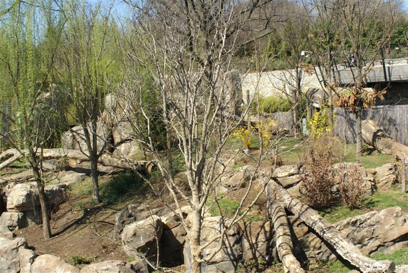 Apr 09 Asia trail - Giant Panda Exhibit