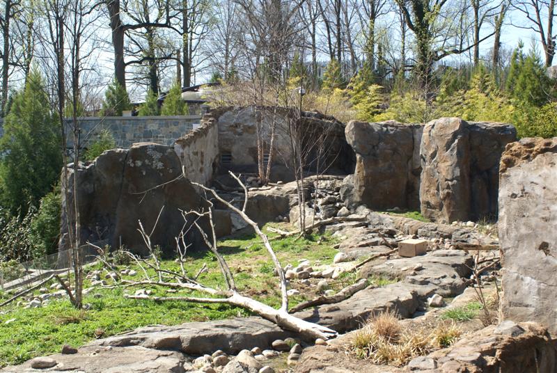 Apr 09 Asia trail - short clawed otter exhibit