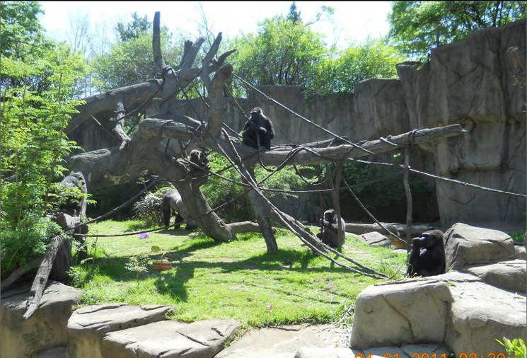 Apr. 2011-Jomo + Bakari + Muke + Samantha + M'linzi