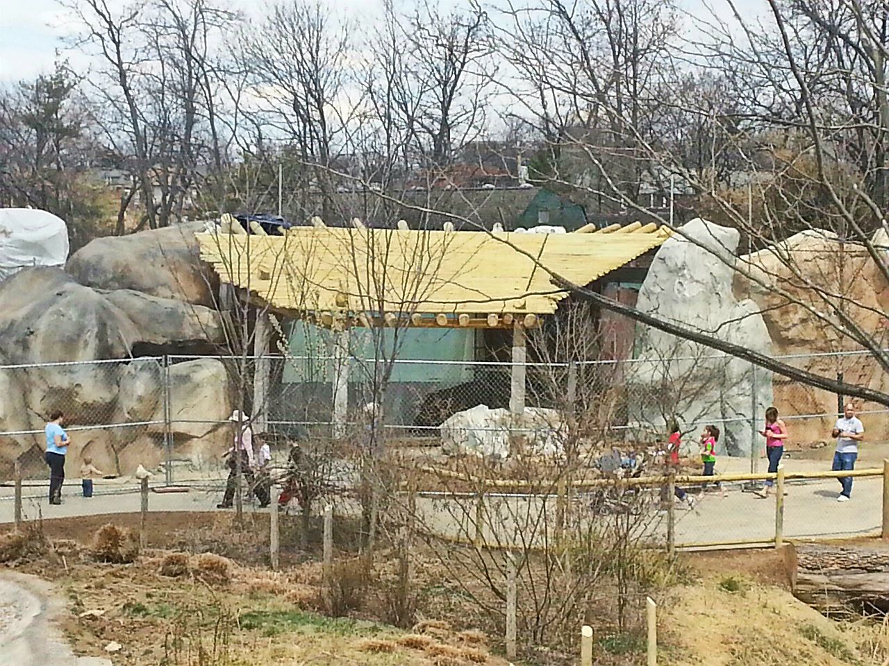 Apr. 2013 - Africa - Future African Lion Exhibit Viewing