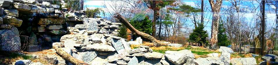 Apr. 2013 - Cat Canyon - Cougar Exhibit