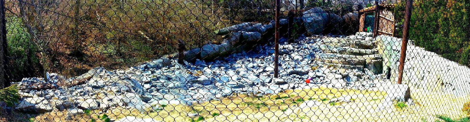 Apr. 2013 - Cat Canyon - Snow Leopard Exhibit Panorama