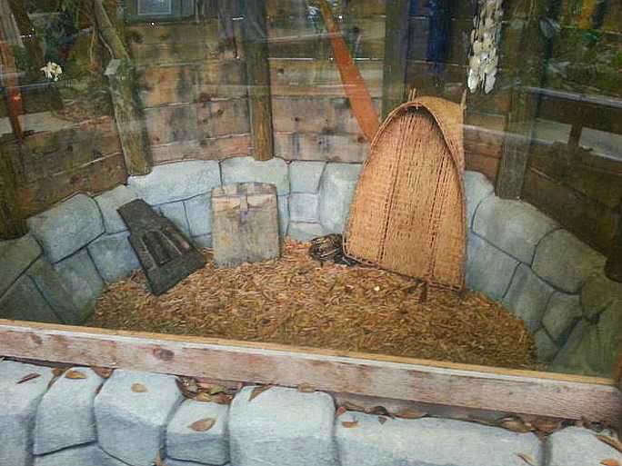 Apr. 2013 - Discovery Forest - Boa Constrictor Exhibit