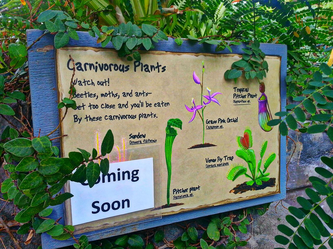 Apr. 2013 - Discovery Forest - Future Carnivorous Plant Exhibit Sign