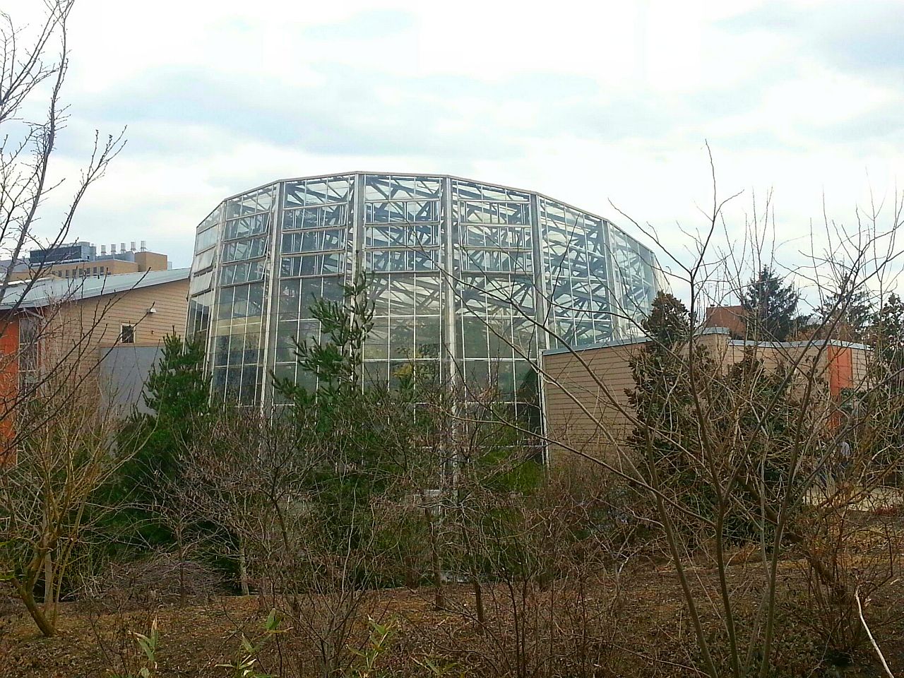 Apr. 2013 - Discovery Forest