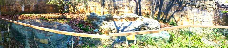 Apr. 2013 - Dragons! - Outdoor Komodo Dragon Exhibit Panorama