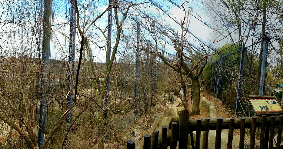 Apr. 2013 - Eagle Eyrie - Andean Condor Exhibit