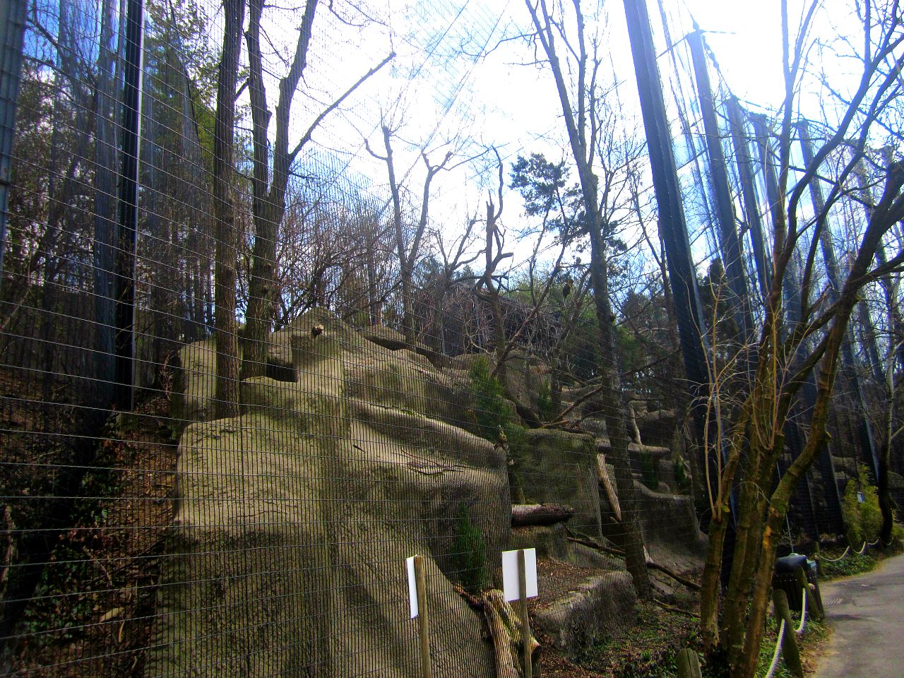 Apr. 2013 - Eagle Eyrie - Stellers Sea Eagle Exhibit