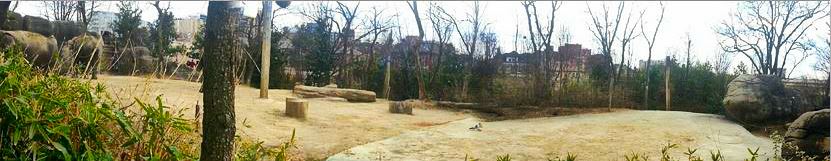 Apr. 2013 - Elephant Reserve - Indian Elephant Exhibit Panorama