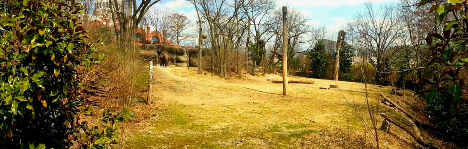 Apr. 2013 - Elephant Reserve - Indian Elephant Exhibit Panorama