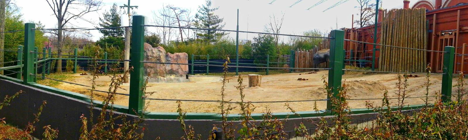 Apr. 2013 - Elephant Reserve - Sabu's Exhibit