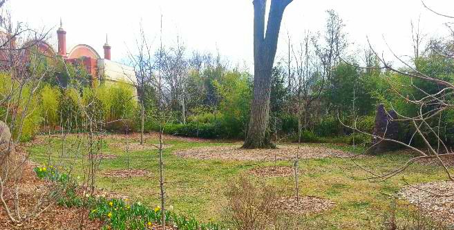 Apr. 2013 - Former Okapi Exhibit