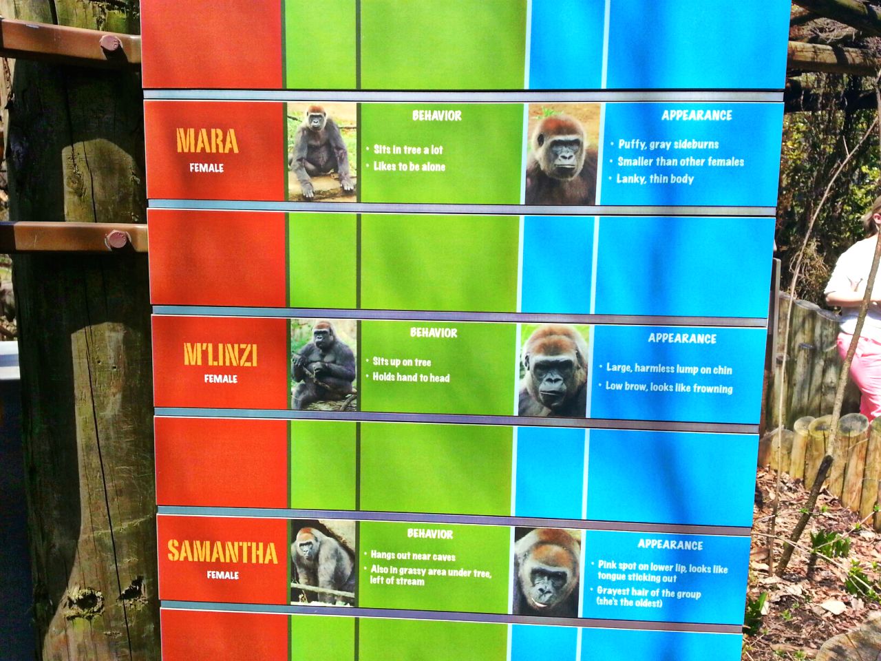 Apr. 2013 - Gorilla World - Who's Who? - Female Group