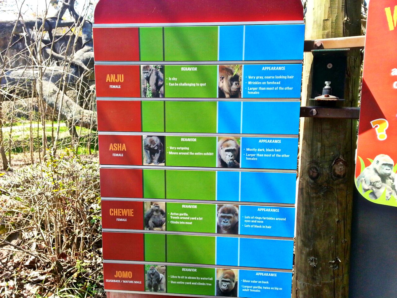Apr. 2013 - Gorilla World - Who's Who? - Jomo's Group