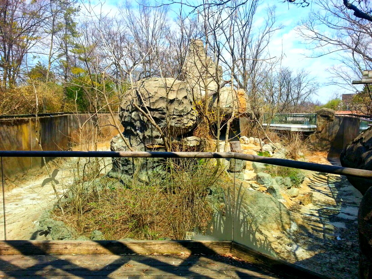 Apr. 2013 - Lemur Lookout