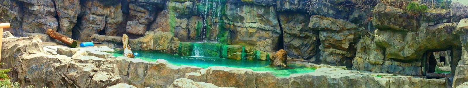 Apr. 2013 - Lords of the Arctic - First Polar Bear Exhibit Panorama