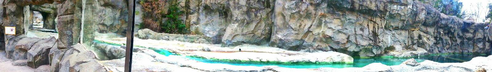 Apr. 2013 - Lords of the Arctic - Second Polar Bear Exhibit