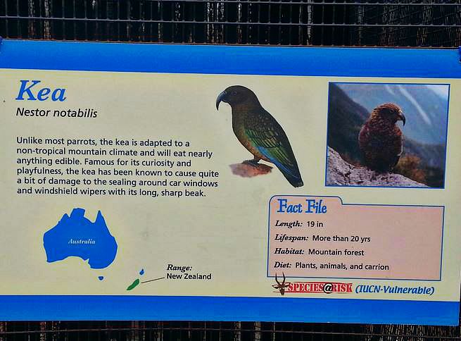 Apr. 2013 - Lorikeet Landing - Kea Encounter Sign