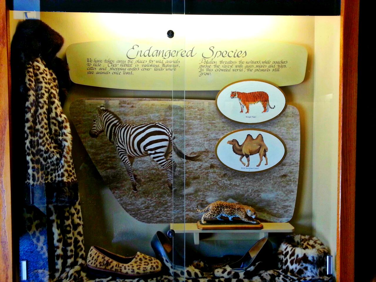 Apr. 2013 - Passenger Pigeon Memorial - Endangered Species